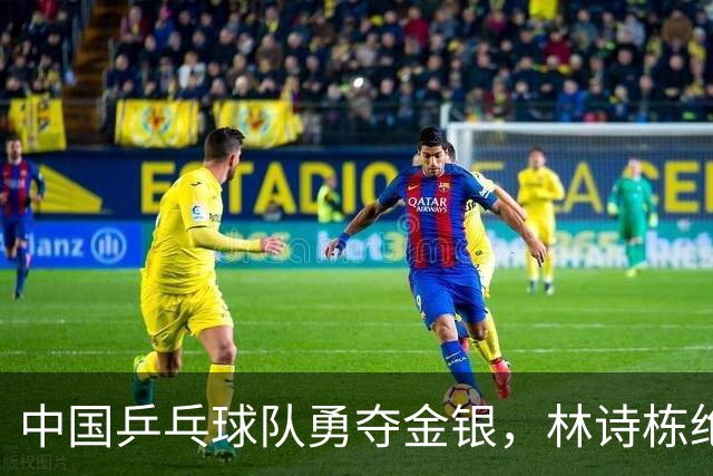 中国乒乓球队勇夺金银，林诗栋绝地逆转林昀儒，决赛对阵王楚钦