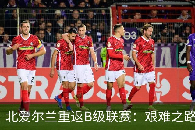 北爱尔兰重返B级联赛：艰难之路与新生挑战
